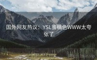 国外网友热议：YSL蜜桃色WWW太夸张了